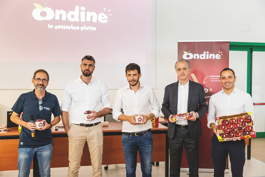I player italiani con, da sinistra, Joaquin Berges, Marketing Manager di Frutaria Innovation (Gruppo Samca) azienda breeder Spagnola focalizzata sullo sviluppo e l'innovazione varietale, che coordina il progetto a livello internazionale, Matteo Mazzoni, Direttore Commerciale di Cico- Mazzoni, Maicol Galeati, Amministratore Delegato di Greenyard, Augusto Renella, Export Coordinator Marketing R&D Manager di Naturitalia, Enrico Bucchi, Vice direttore generale Alegra.